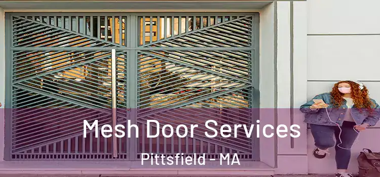  Mesh Door Services Pittsfield - MA